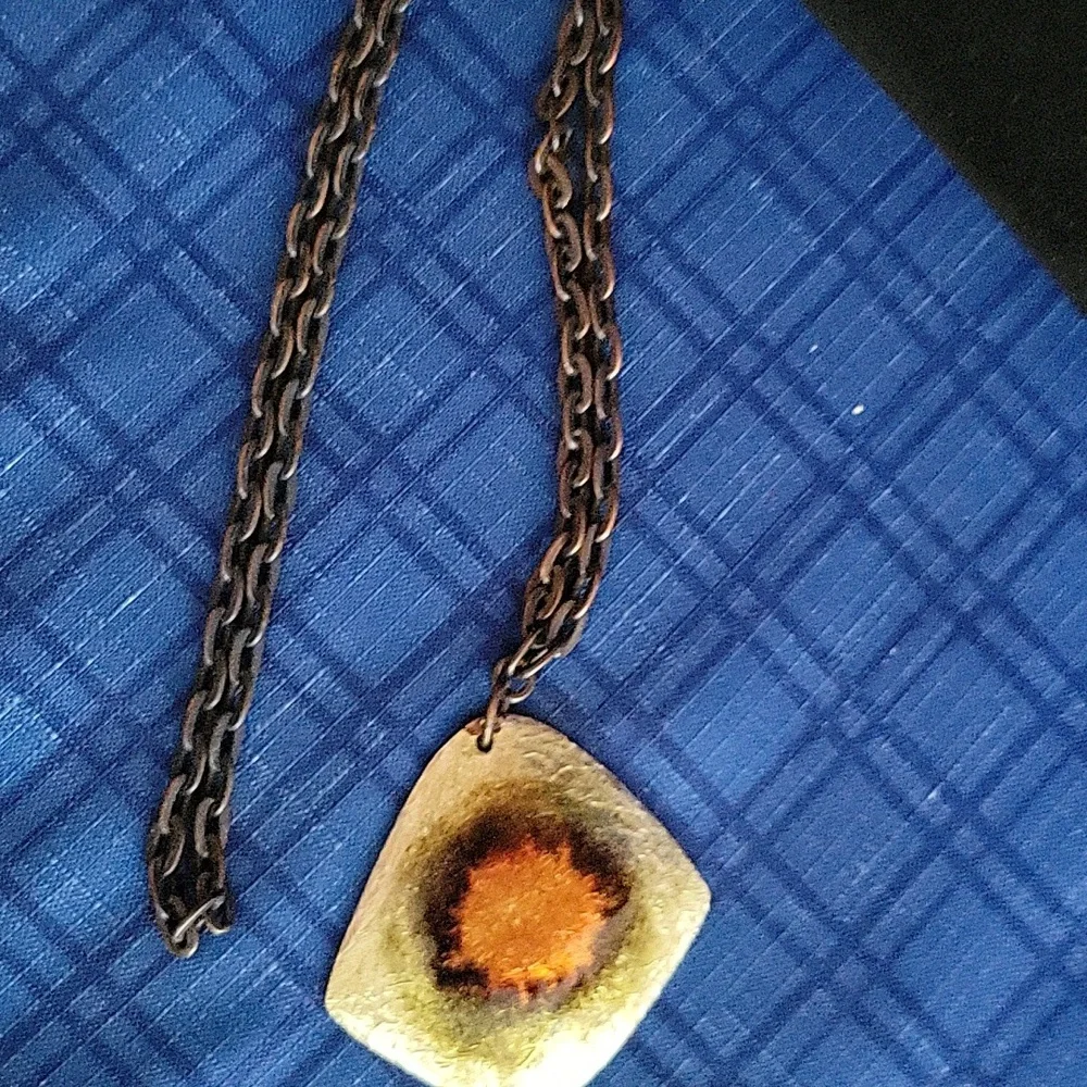 Shell looking - Picture 5 of 5